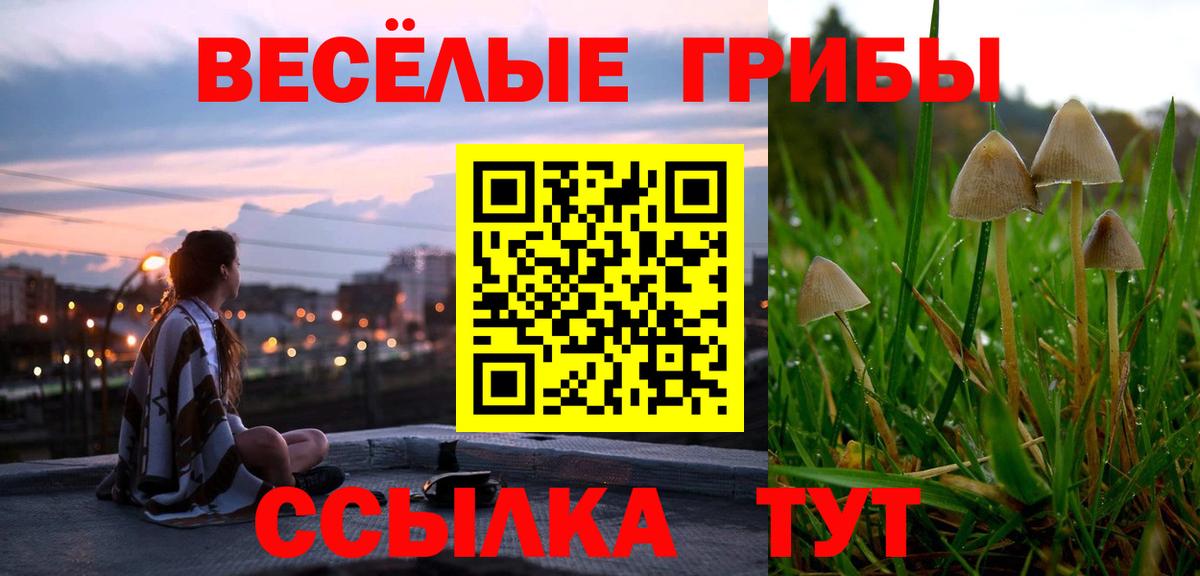 Псилоцибиновые грибы Psilocybe  Вход с VPN  Ялуторовск 